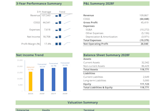 build a 3 statement financial model and forecast in excel