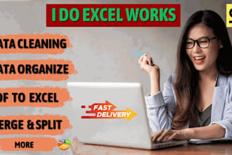 do data cleansing in excel and prepare dashboards in powerbi