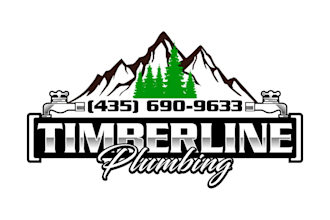 design a professional mountain logo for your brand