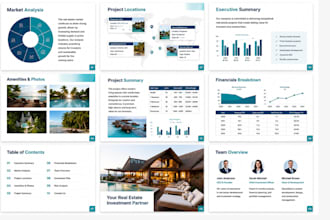 design prospectus, offering memorandum, ppm infographic annual report booklet