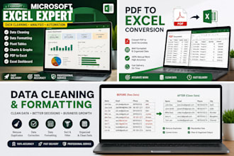 data cleaning, formatting, pivot tables, charts, PDF convert