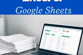 do accurate data entry, excel, and google sheets work