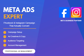 setup and manage facebook and instagram meta ads campaign