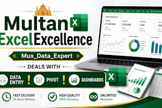 create excel dashboard, data entry and data analysis