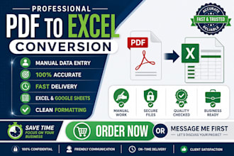 convert PDF to excel with accurate manual data entry