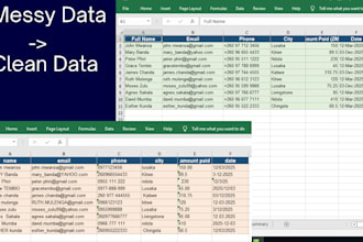 do accurate data entry and spreadsheet cleanup in excel