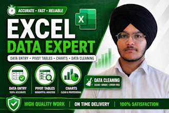 do data cleaning, data entry, pivot charts