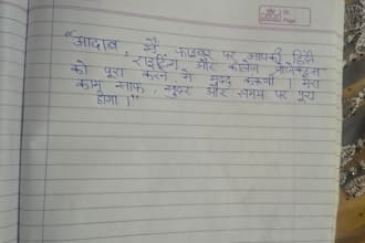 do professional hindi content writing and college projects