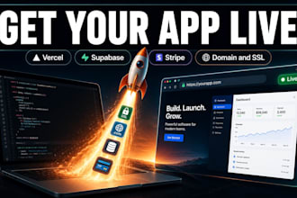 deploy vibe coded app, vercel supabase domain ssl setup, stripe integration fix