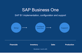 provide sap business one, sap b1 implementation and support services
