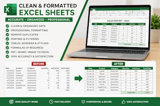 cleaned, formatted, and organized excel data