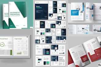 design an investor ready business proposal for startups