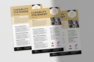 design investor capability statement, government proposal and bid document