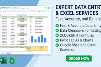 do data entry, google sheets, and excel data entry work