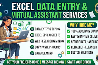 do excel data entry, copy paste and web research