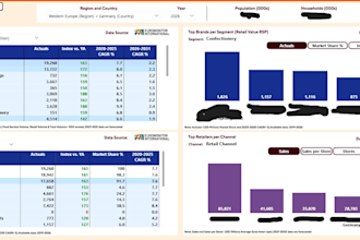 provide commercial financial analysis and business strategy