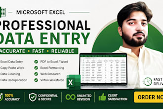 do microsoft excel data entry, formatting, and spreadsheets