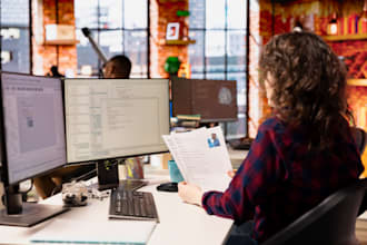 provide professional digital services