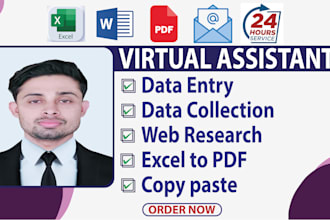 be your virtual assistant for accurate data entry and copy paste