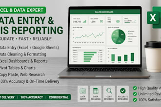 do advanced excel data entry, mis reporting, and dashboard creation