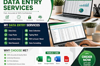 do accurate data entry, copy paste and web search