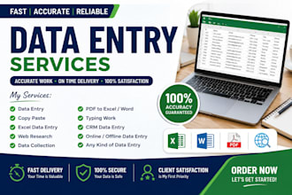 do accurate data entry, excel data entry, copy paste and web research
