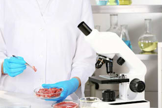create professional food formulation for food and beverage products