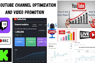 professionally promote your youtube livestream to reach more real audience