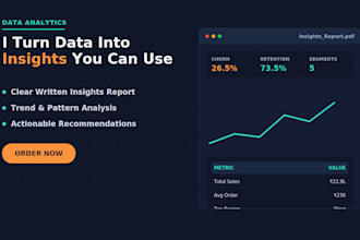 analyze your data and deliver a business insights report