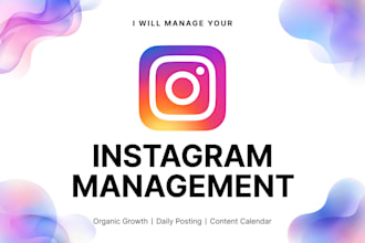 be your instagram manager for growth