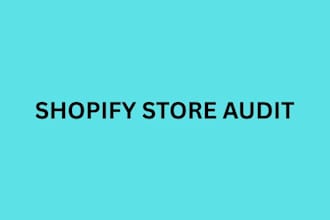 do shopify store audit for your store
