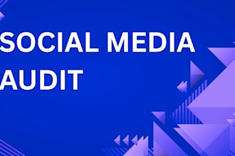 do a social media audit report for your platforms or competitors