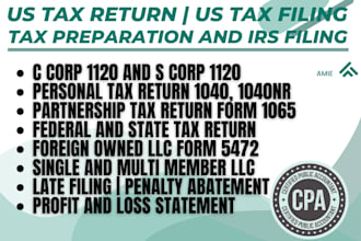 prepare and efile US tax returns, tax filings 1040, 1120, 1065, 5472 as cpa