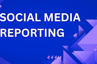 social media report monthly or campaign