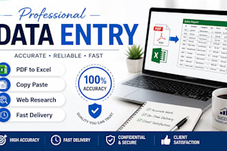 do accurate data entry, copy paste, PDF to excel and web research