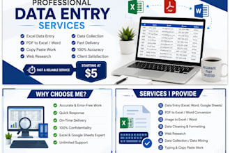 data entry excel data entry