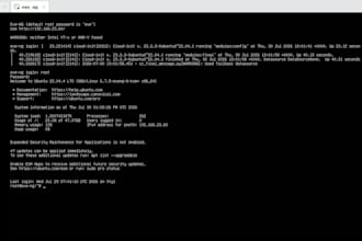 install eve ng server and configure cisco fortinet node images
