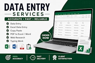 do accurate data entry, copy paste and typing work