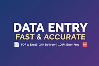 professional data entry and excel service