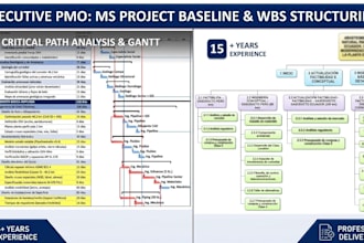project schedule, analyze critical path, and KPI dashboard