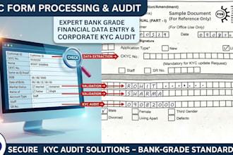 perform expert bank grade financial data entry and corporate kyc audit