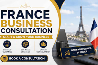 provide professional france business consultation