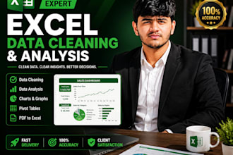 clean and analyze your excel data