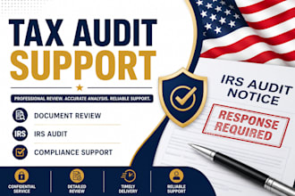 provide tax audit support and document review