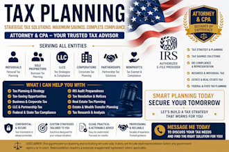 provide professional US tax law and irs consultation