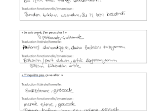 do translation and post editing