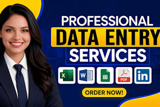 do professional data entry, excel and linkedin services