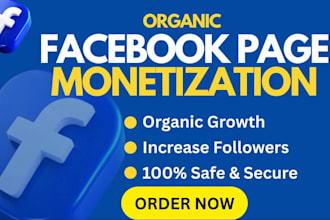 organically promote and monetize facebook page