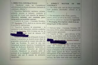 proofreading and  editing romanian english