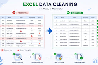 do professional excel data cleaning, formatting and validation